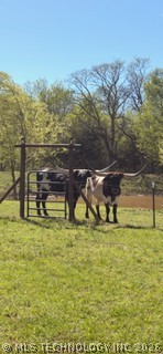 503 Forest Lane Road Ardmore OK 73401