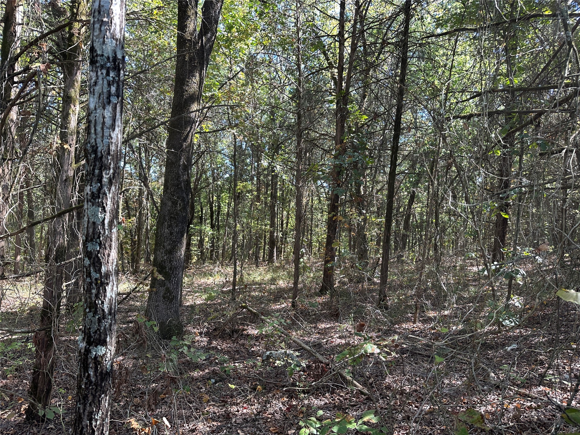 18288 Benson Heavener OK 74937
