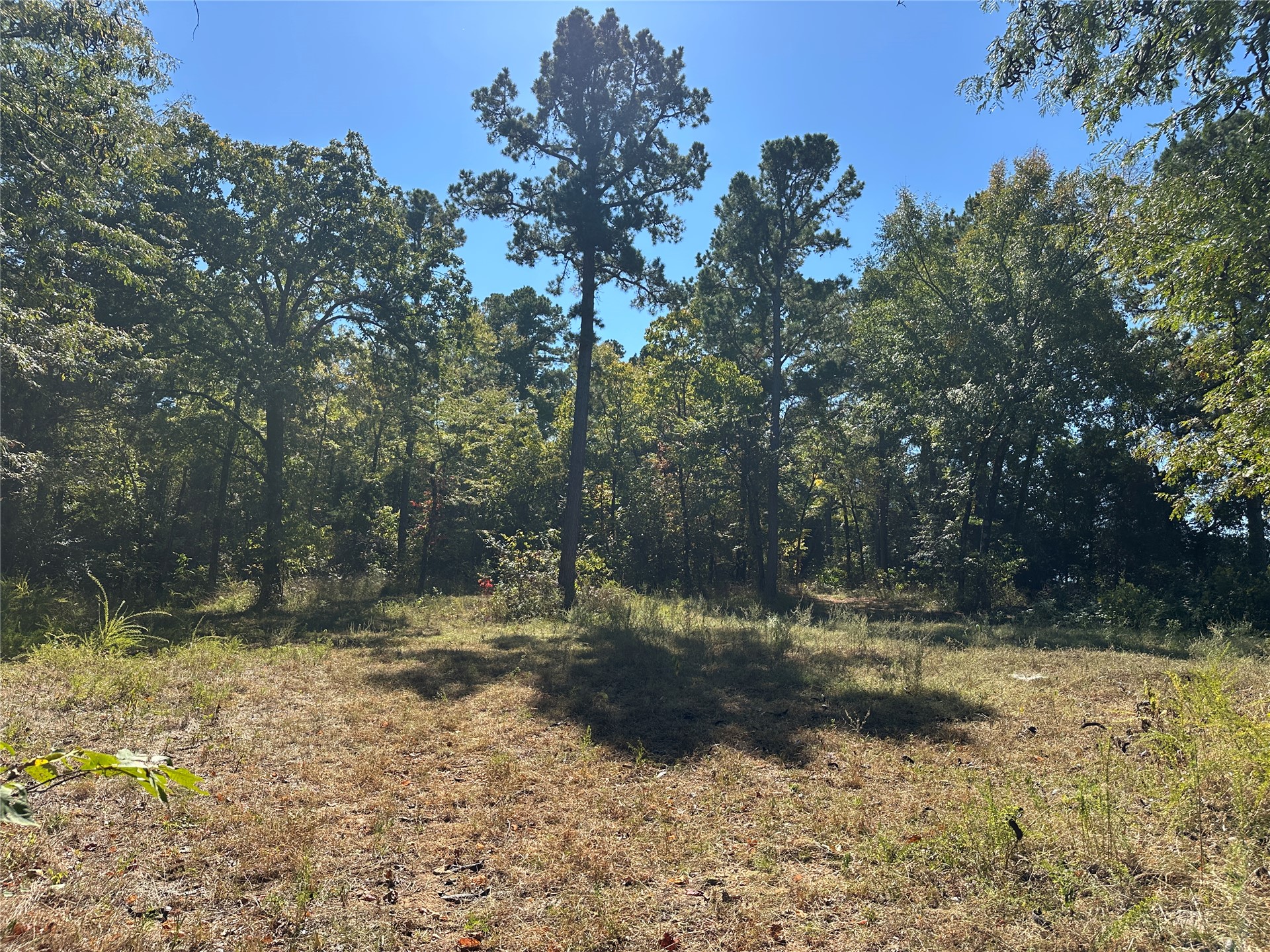 18288 Benson Heavener OK 74937