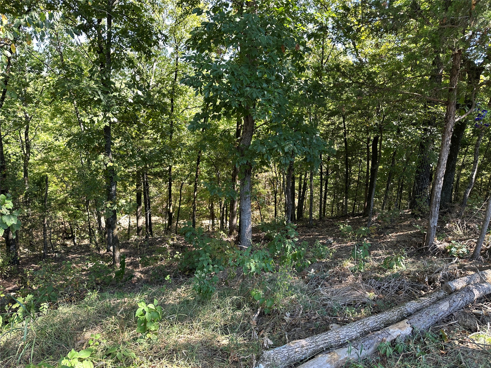 18288 Benson Heavener OK 74937