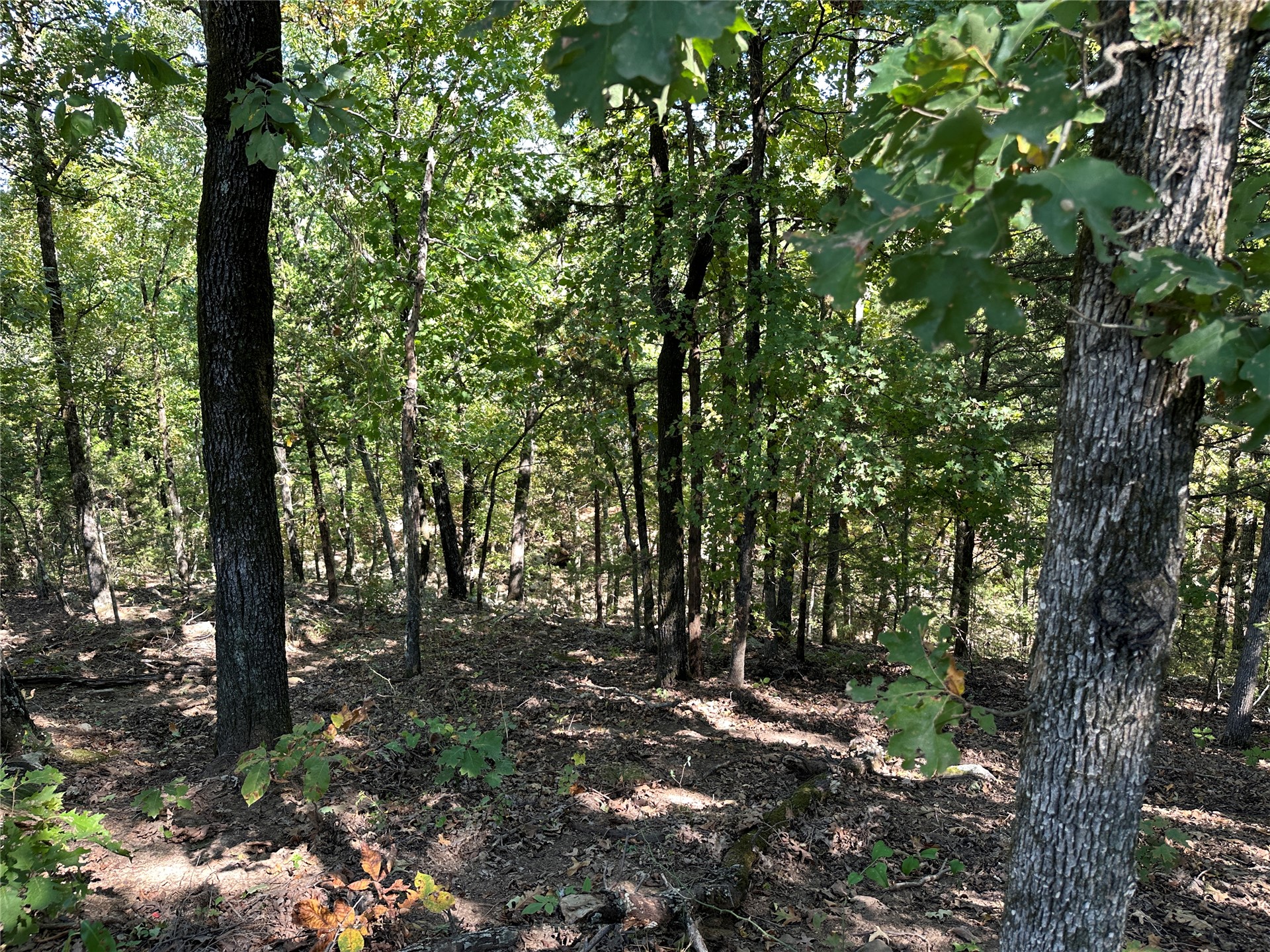 18288 Benson Heavener OK 74937