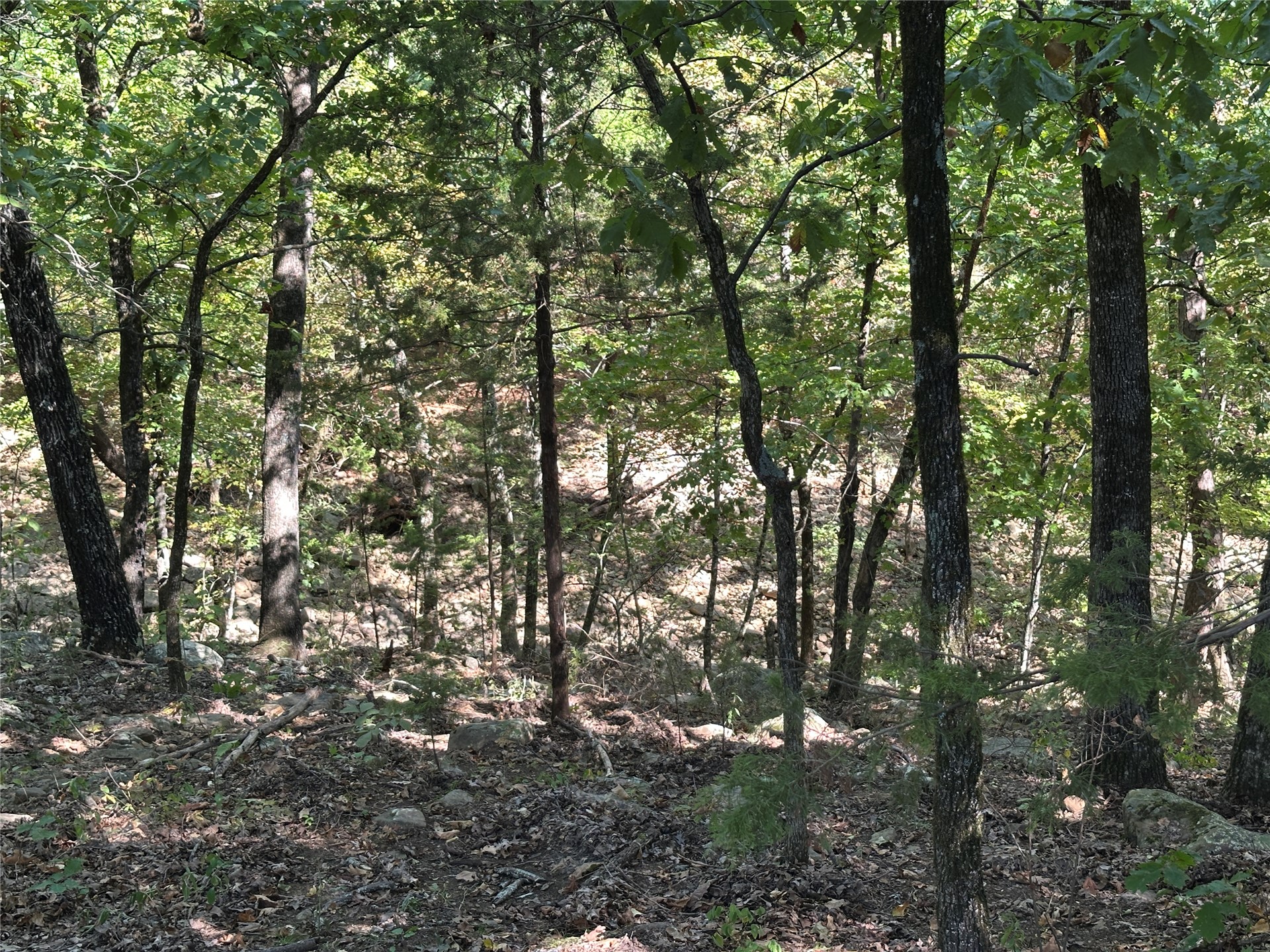 18288 Benson Heavener OK 74937