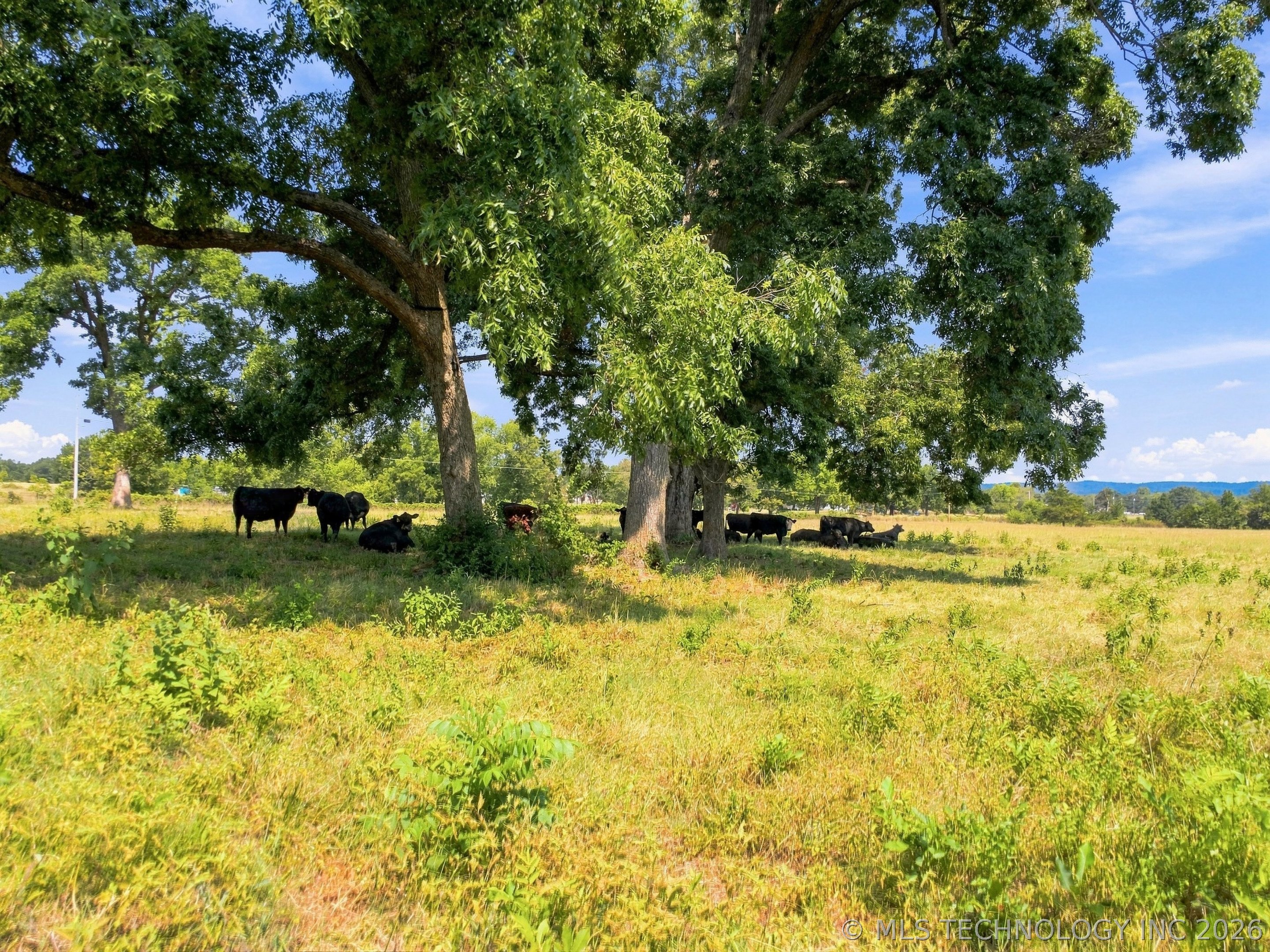 26470 S 650 Road Grove OK 74344