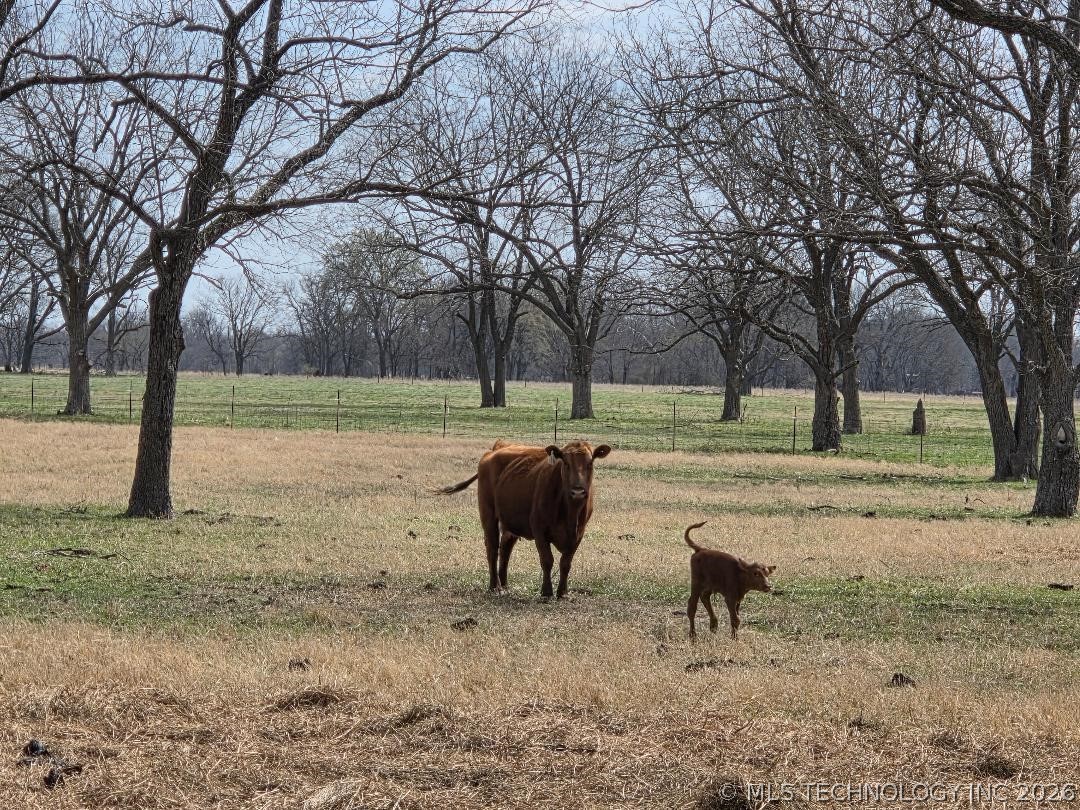 36257 S 4190 Road Inola OK 74036