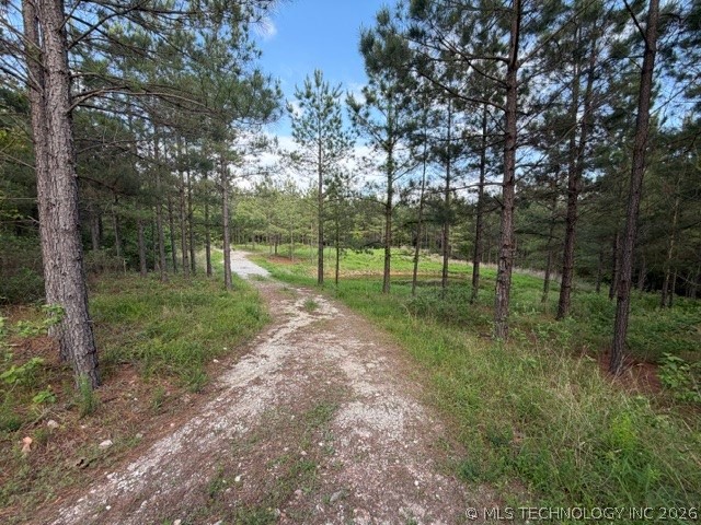64 Pine Root Court Broken Bow OK 74728