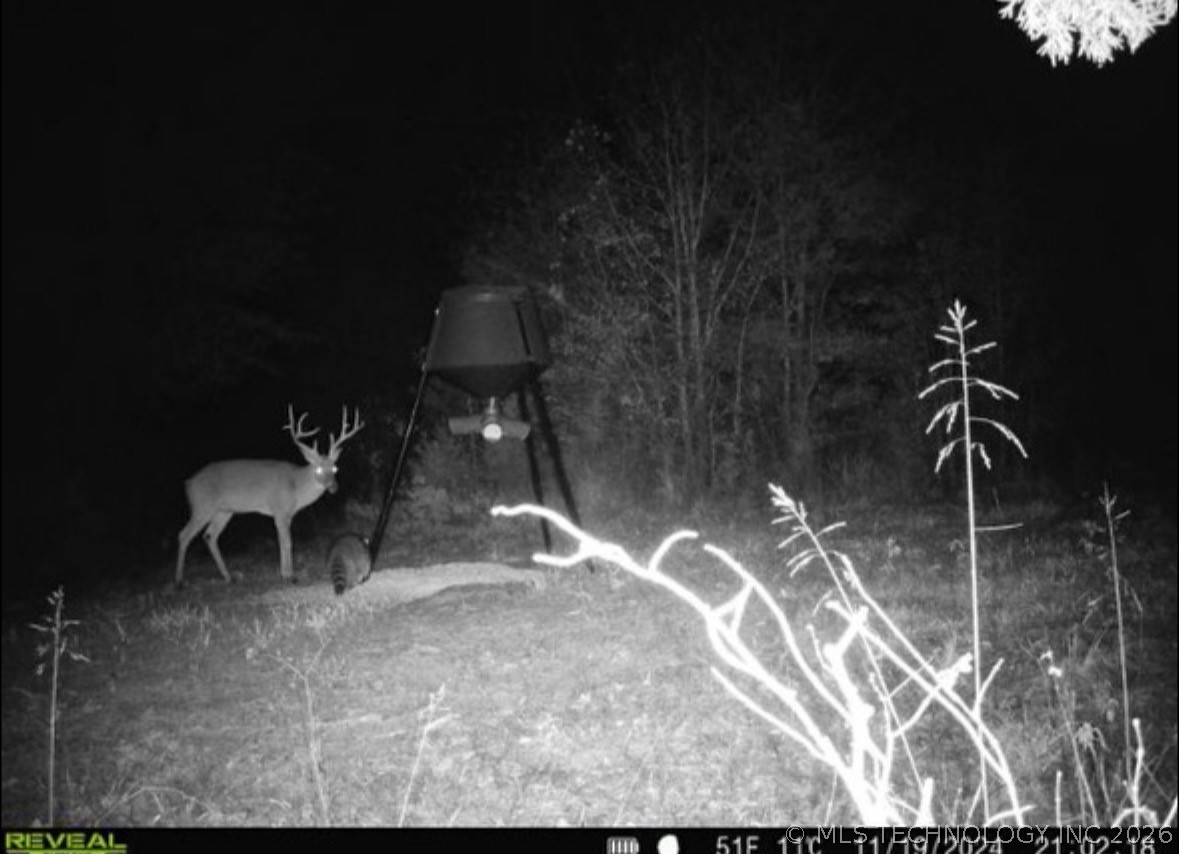 2042 E 1980 Road Antlers OK 74523
