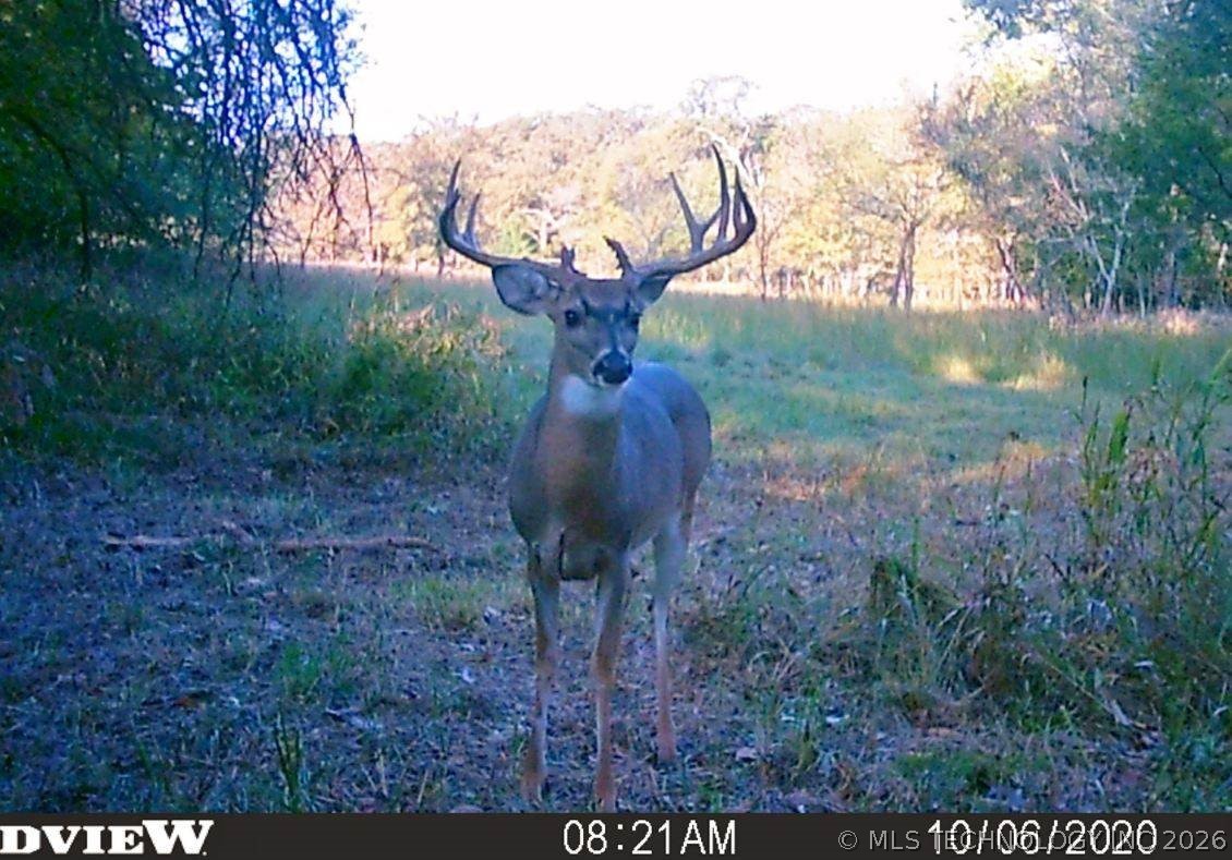 11781 State Highway 63 E Hartshorne OK 74547