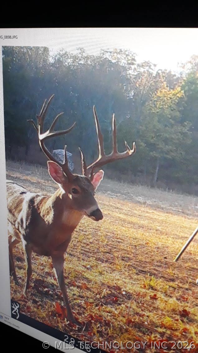 11781 State Highway 63 E Hartshorne OK 74547