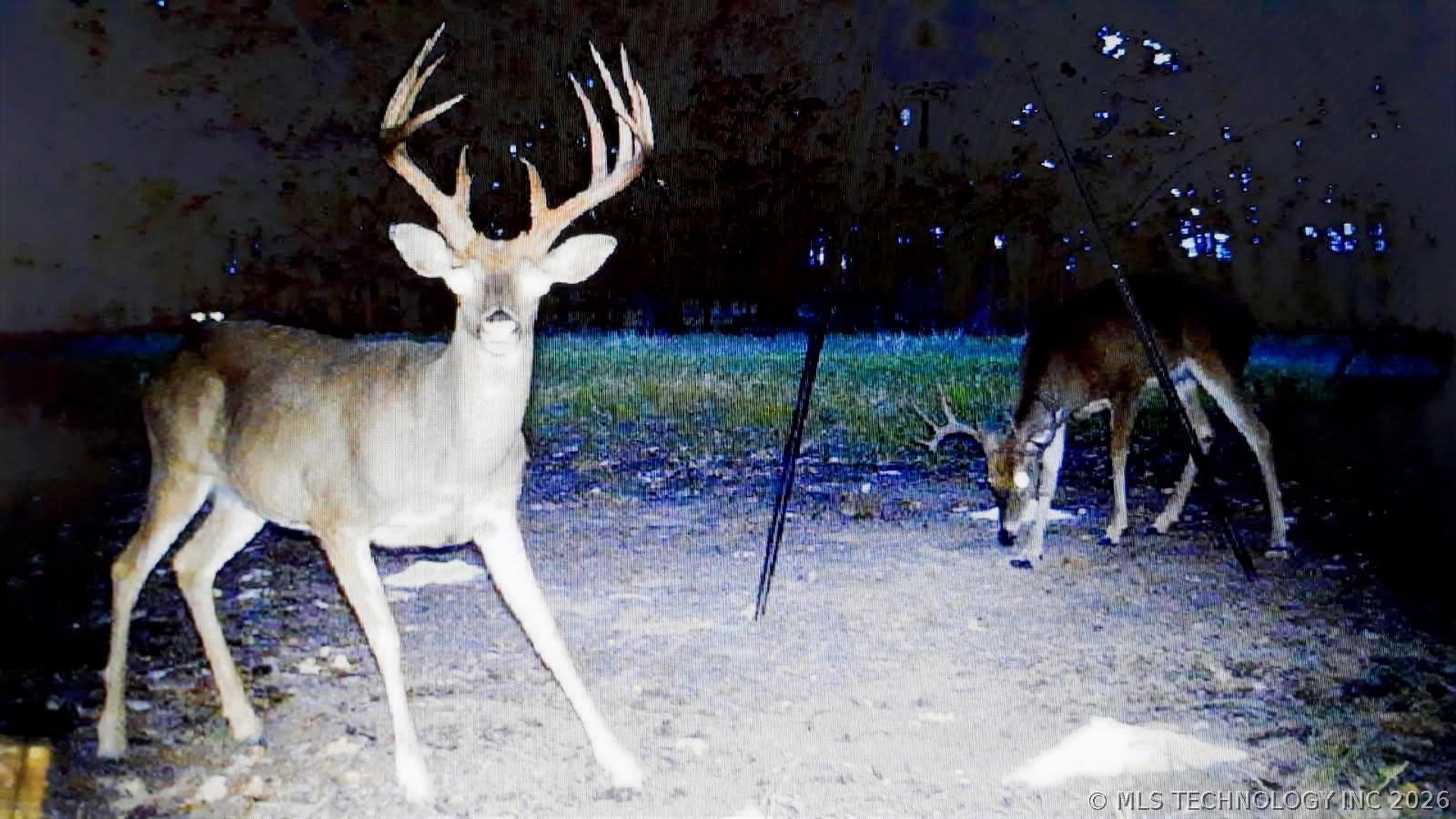 11781 State Highway 63 E Hartshorne OK 74547