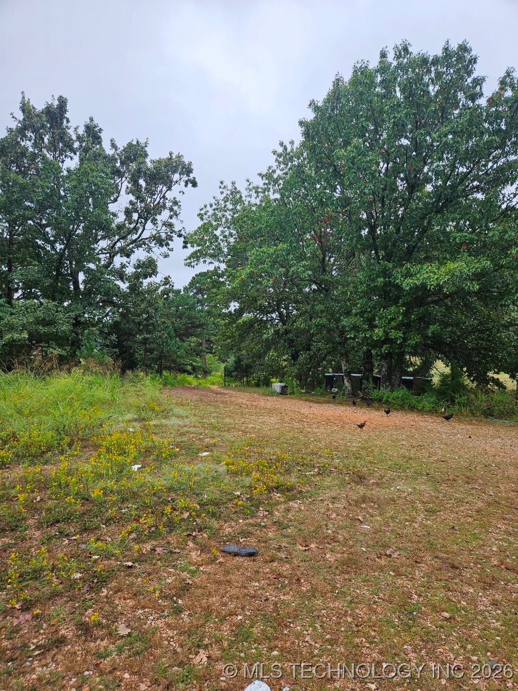 13037 E 590 Road Locust Grove OK 74352