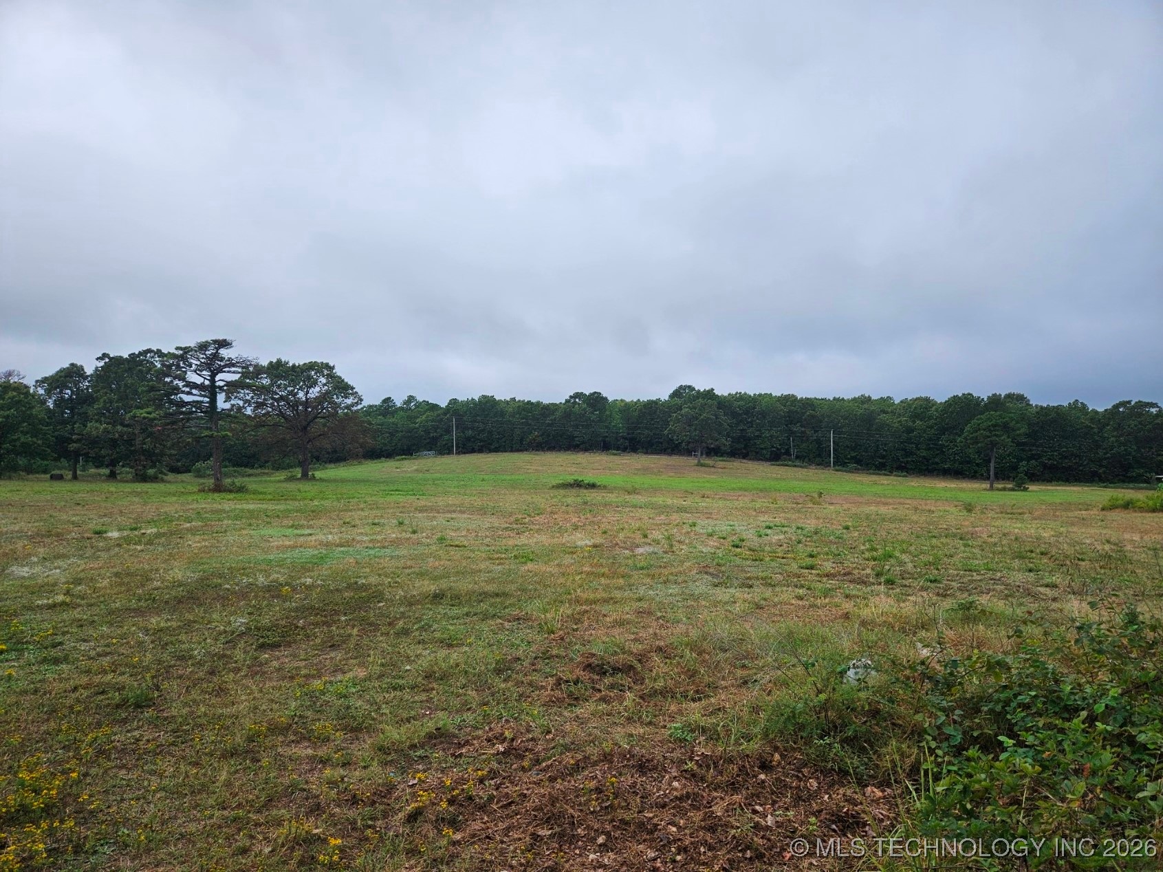 13037 E 590 Road Locust Grove OK 74352