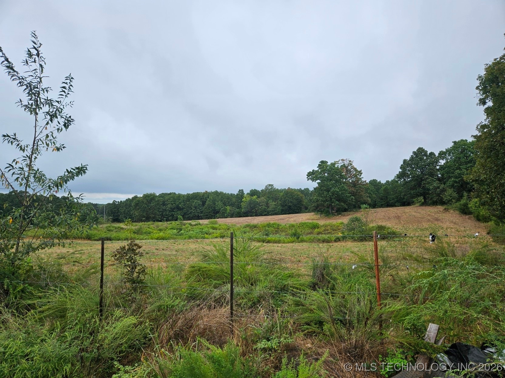 13037 E 590 Road Locust Grove OK 74352