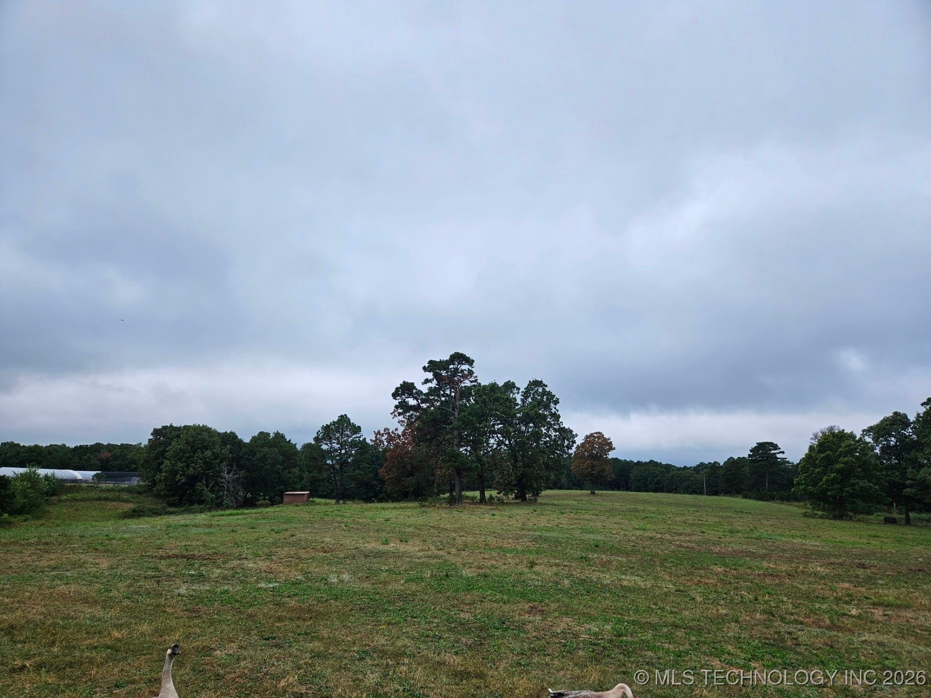 13037 E 590 Road Locust Grove OK 74352
