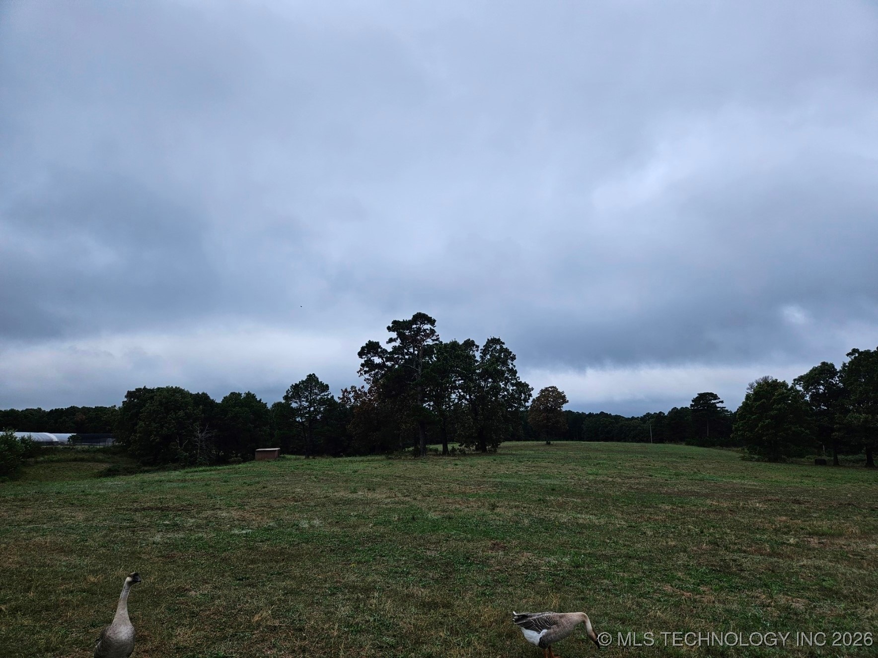 13037 E 590 Road Locust Grove OK 74352