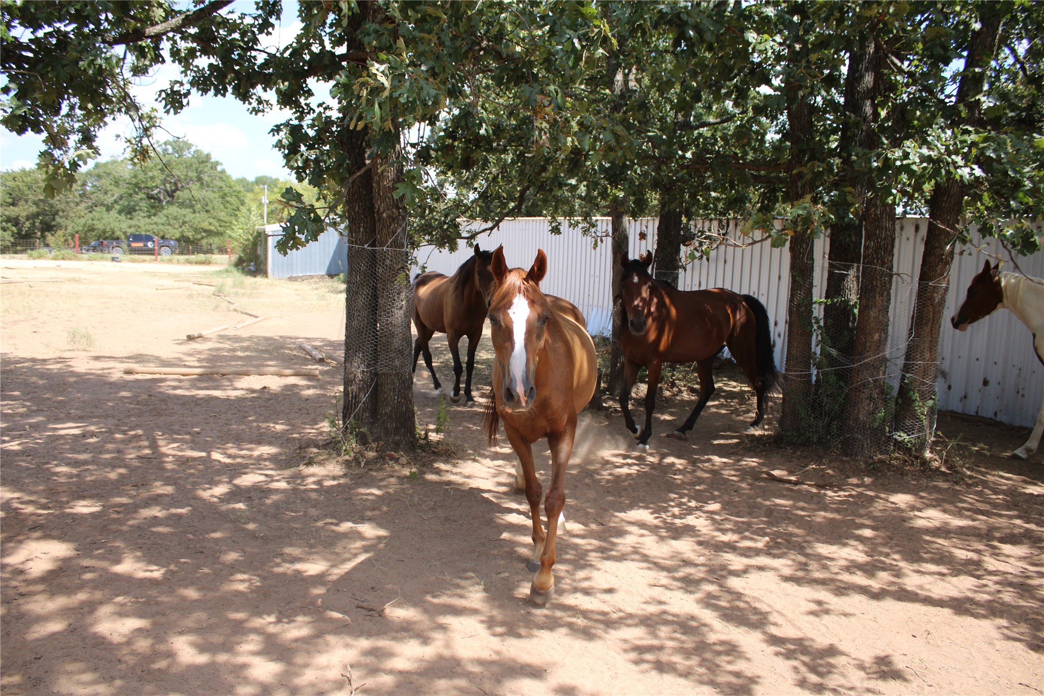 359191 E 970 Road Paden OK 74860