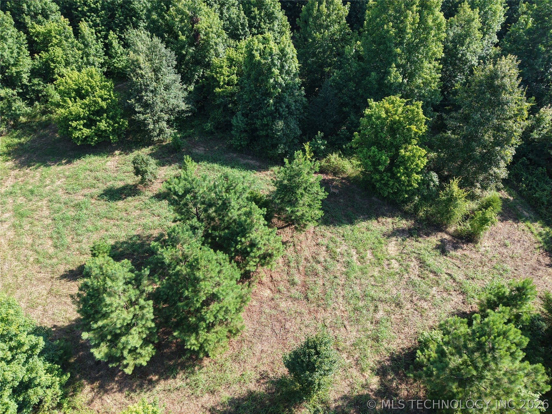 789 Boulder Lane Haworth OK 74740
