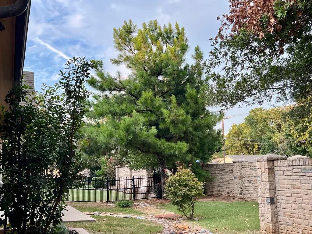 4611 S Royal Dublin Lane Broken Arrow OK 74011