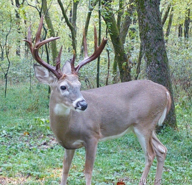 22000 E 660 Road Tahlequah OK 74464