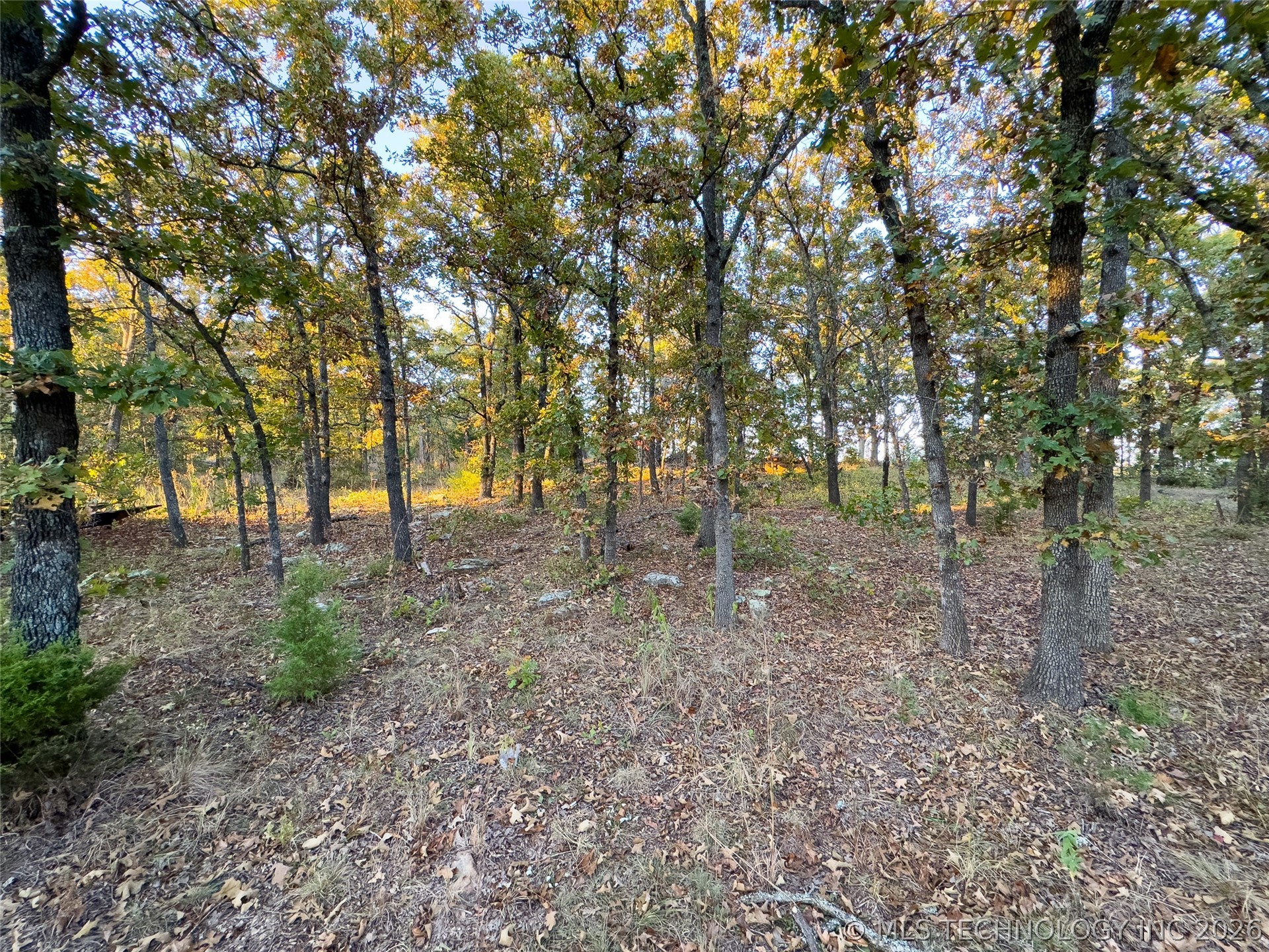 28520 W 166th Street Bristow OK 74010