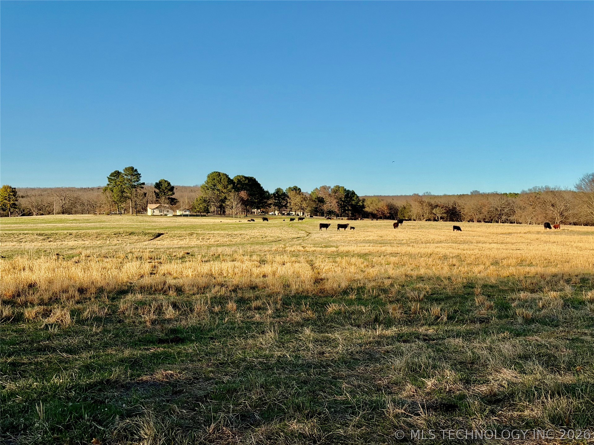 104001 S 4480 Road Vian OK 74962