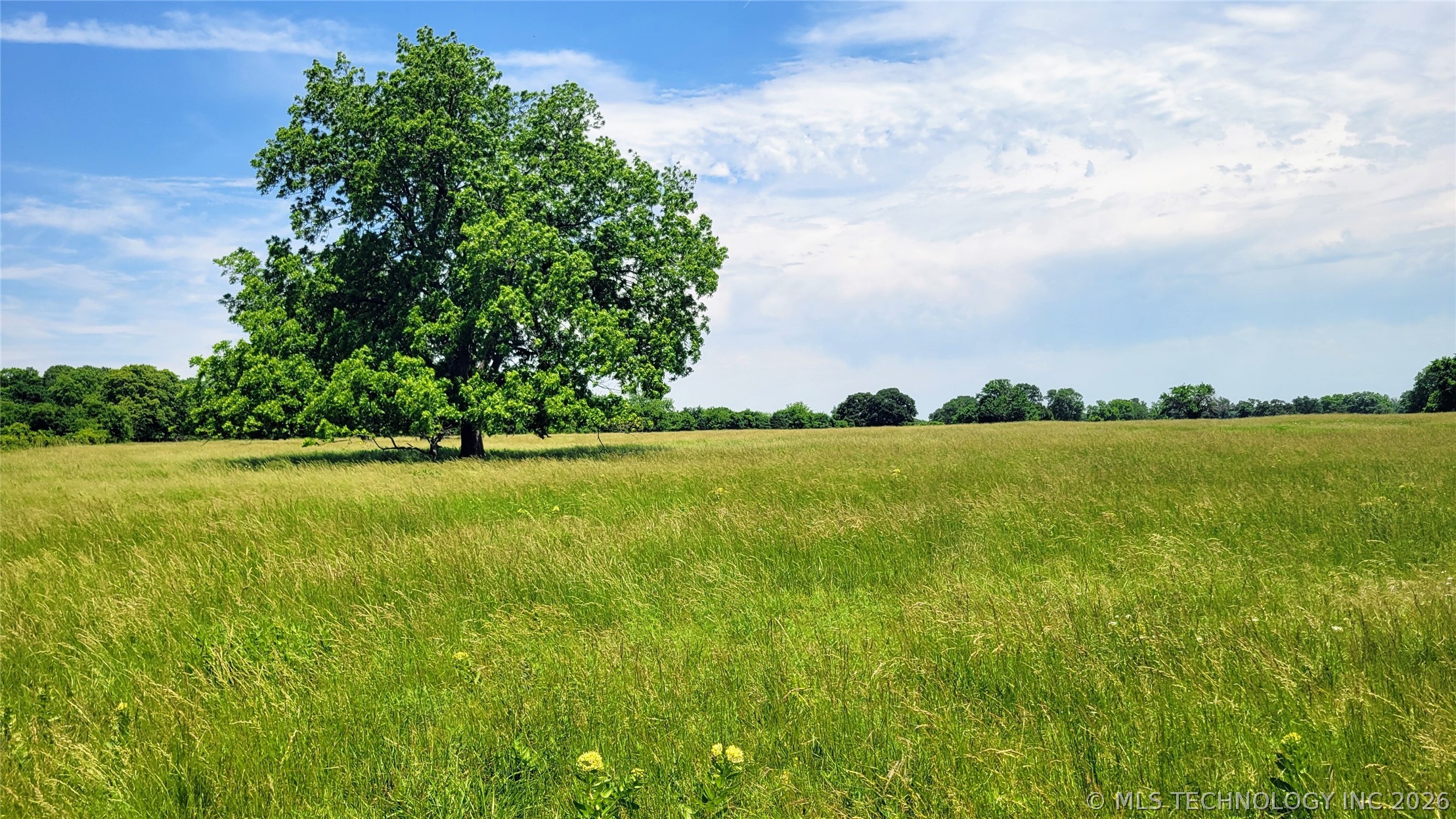 15360 County Road 1590 Ada OK 74820