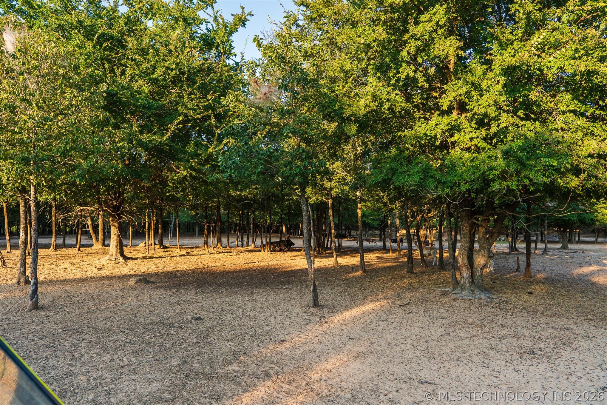 106082 N 3810 Street Okemah OK 74859