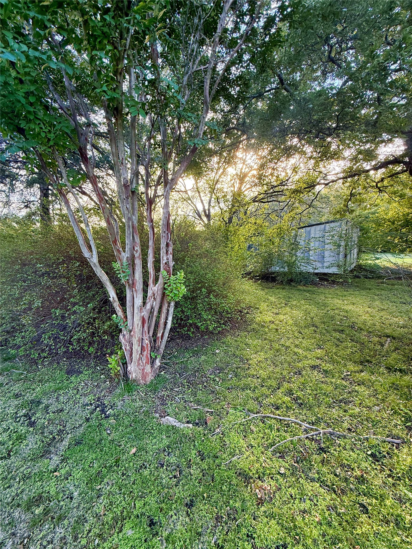605 E Center Street Henryetta OK 74437