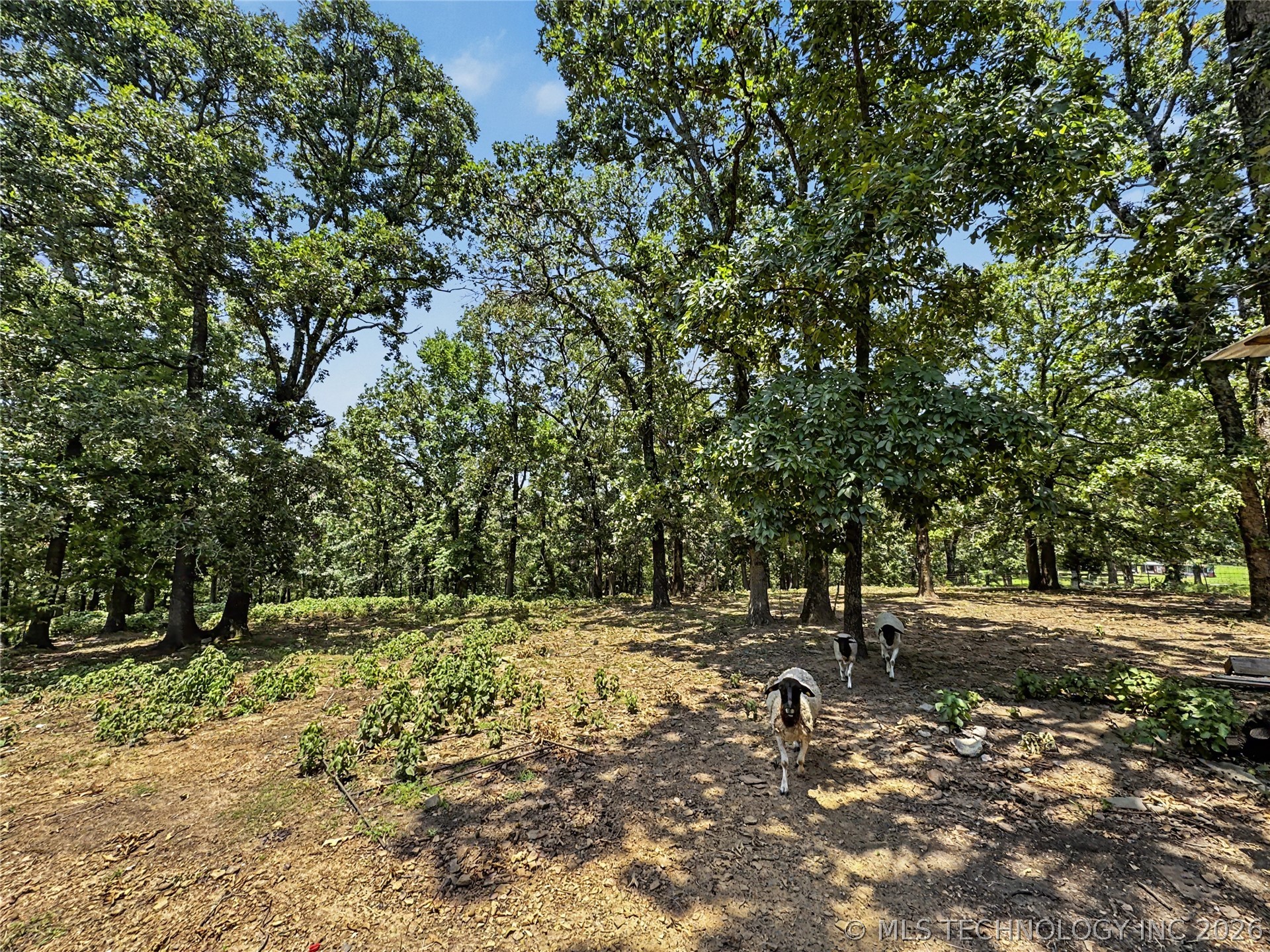 20472 S 494 Road Tahlequah OK 74464