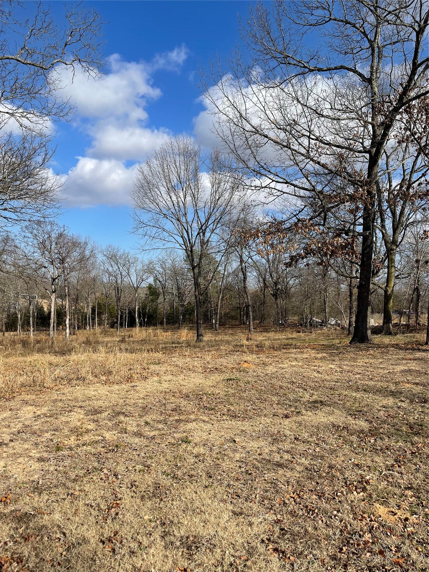 12078 S Forrest Hill Road Atoka OK 74525
