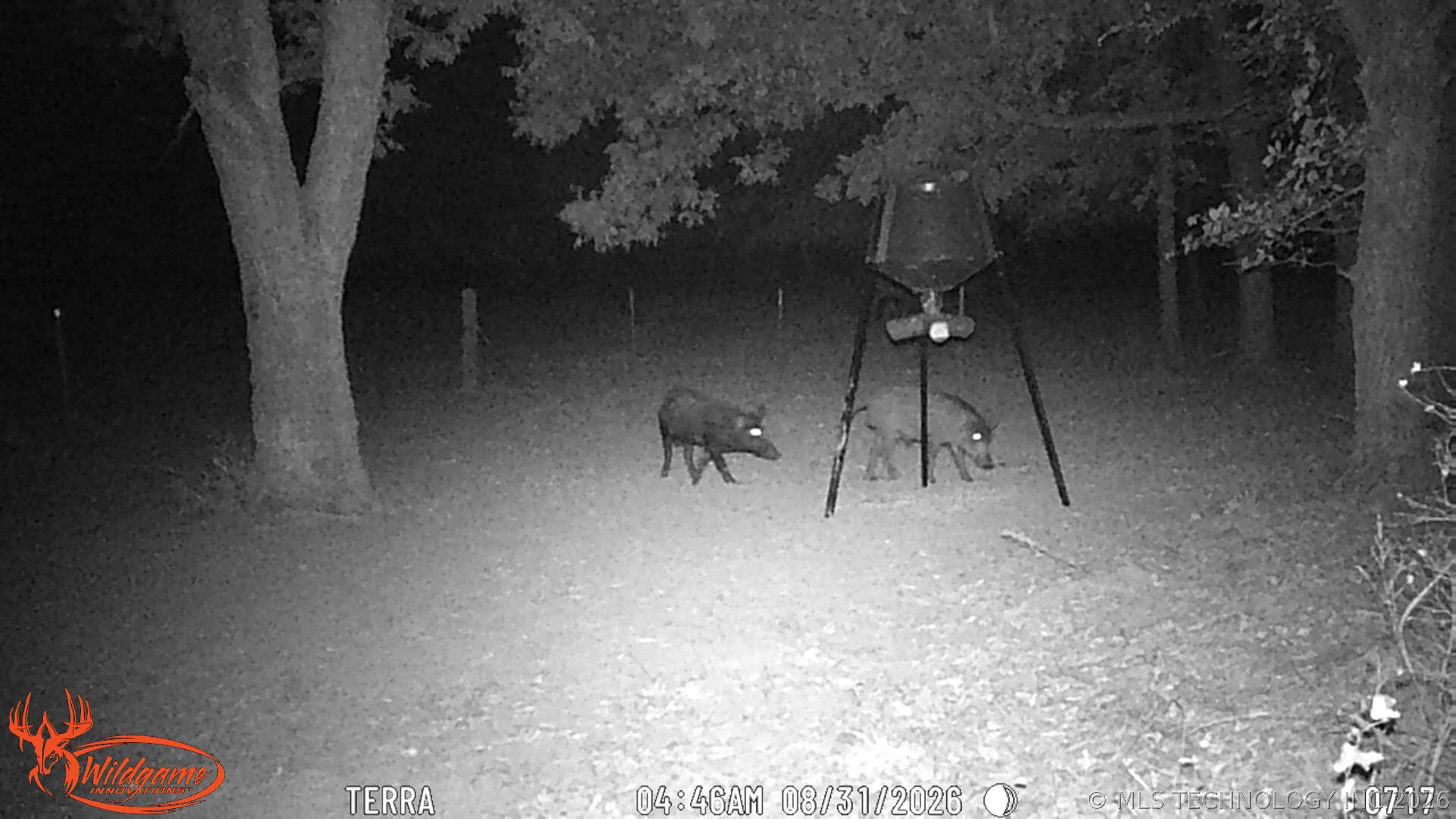 8450 Hwy 56 Highway Okmulgee OK 74447