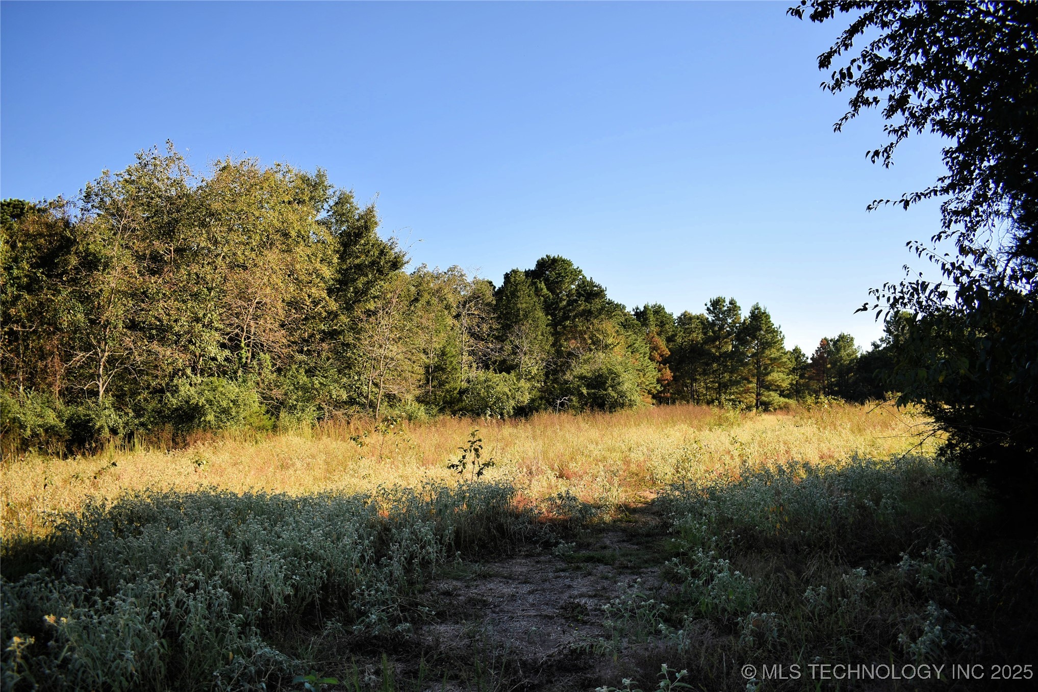 412098 E 1920 Road Antlers OK 74523