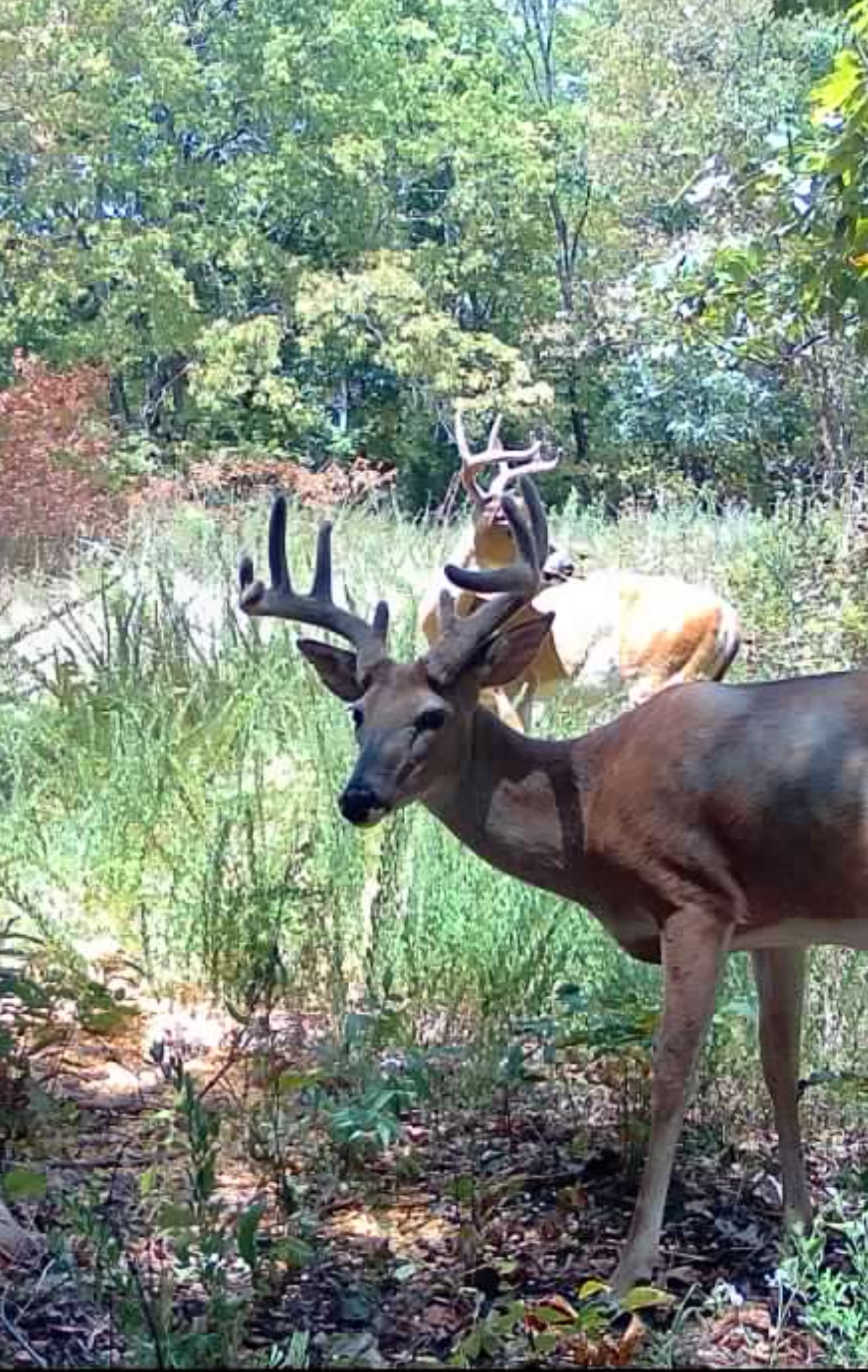 17156 S 4102 Road Claremore OK 74017