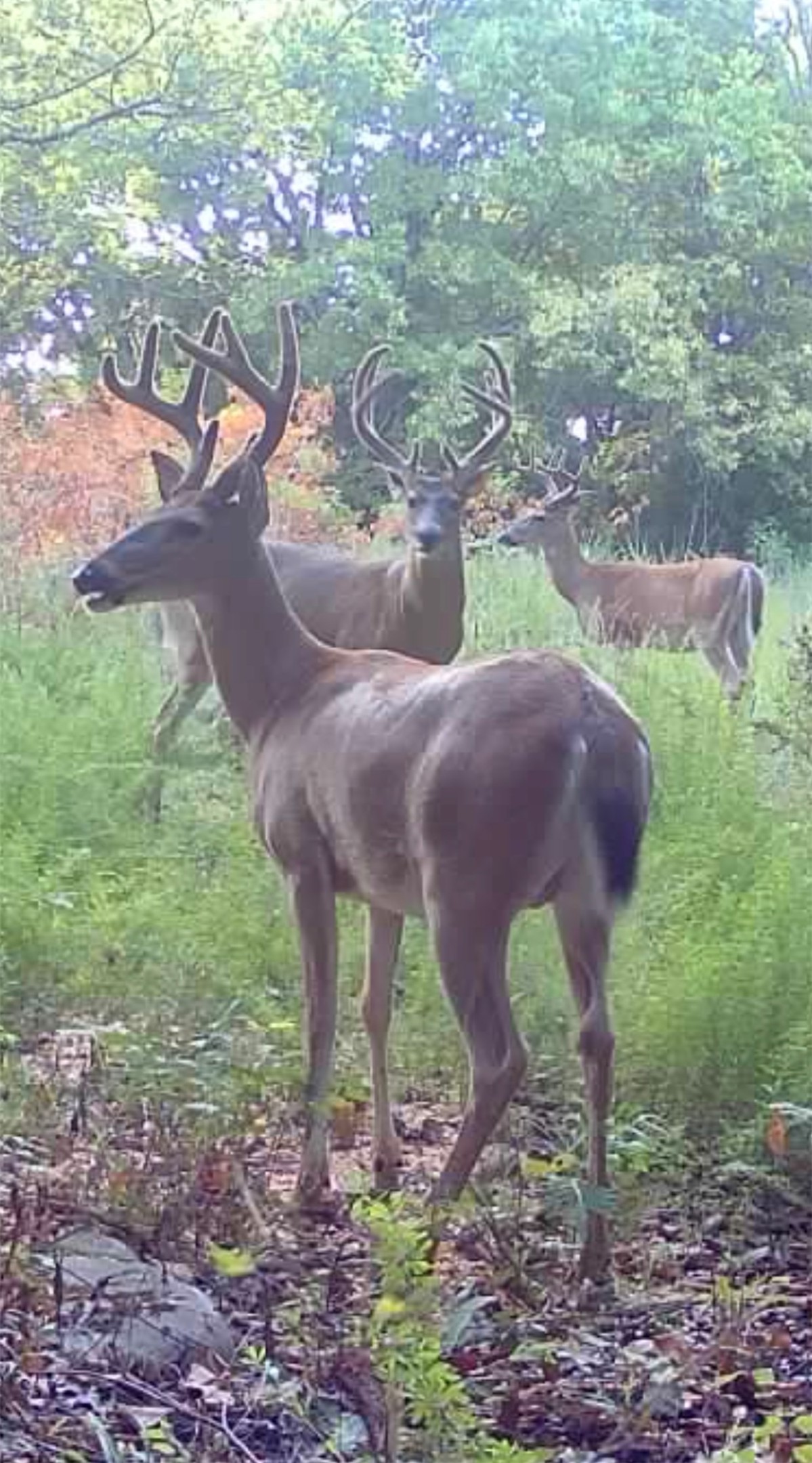 17156 S 4102 Road Claremore OK 74017