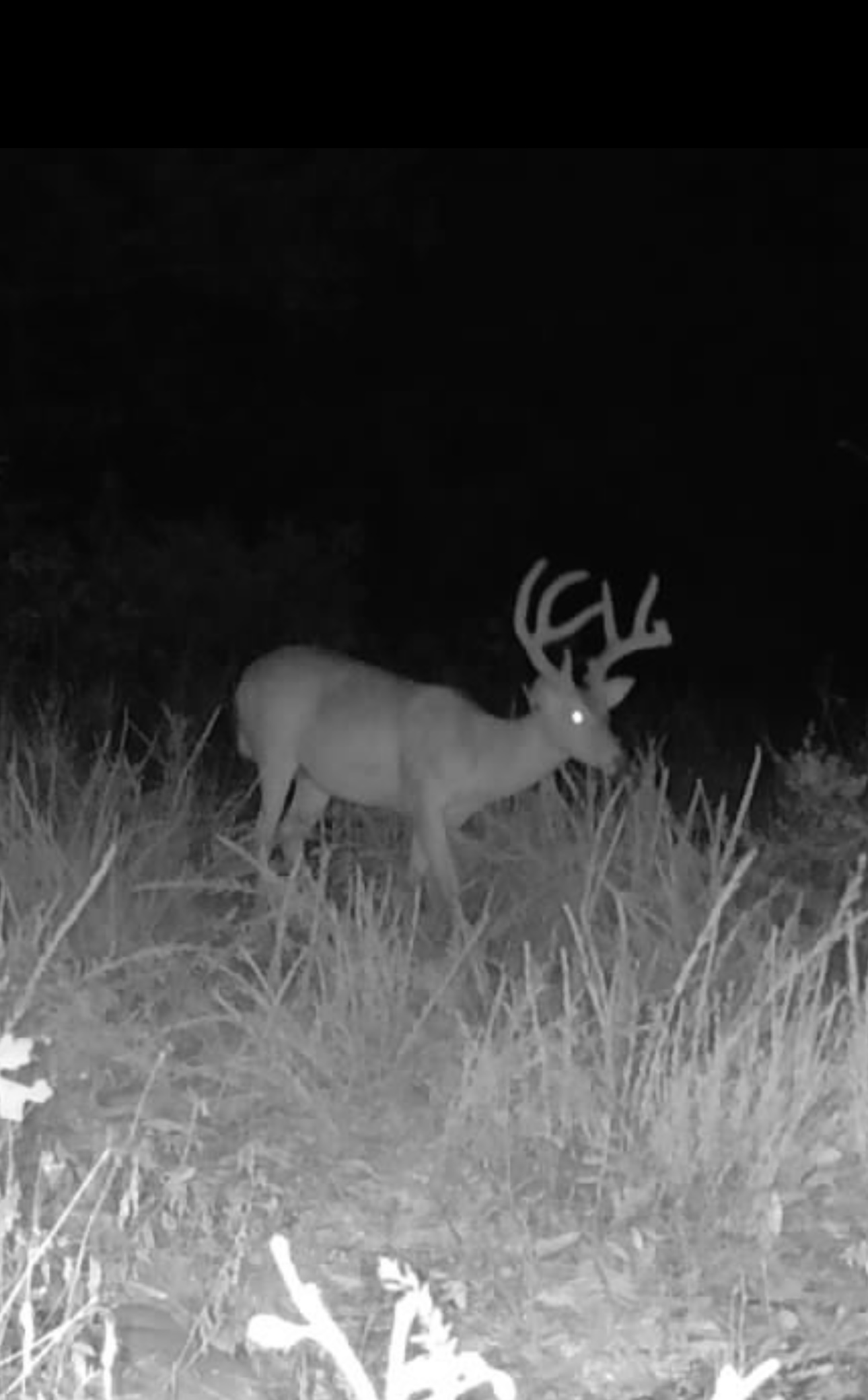 17156 S 4102 Road Claremore OK 74017