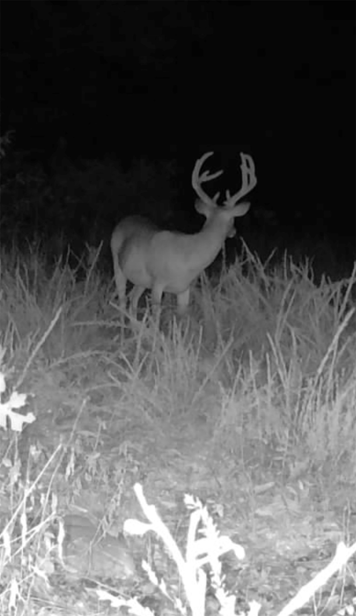 17156 S 4102 Road Claremore OK 74017