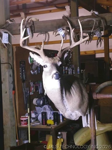 8501 Highway 11 Barnsdall OK 74002