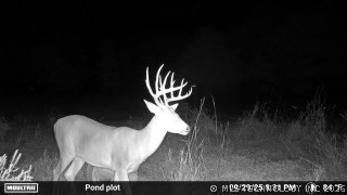 8501 Highway 11 Barnsdall OK 74002