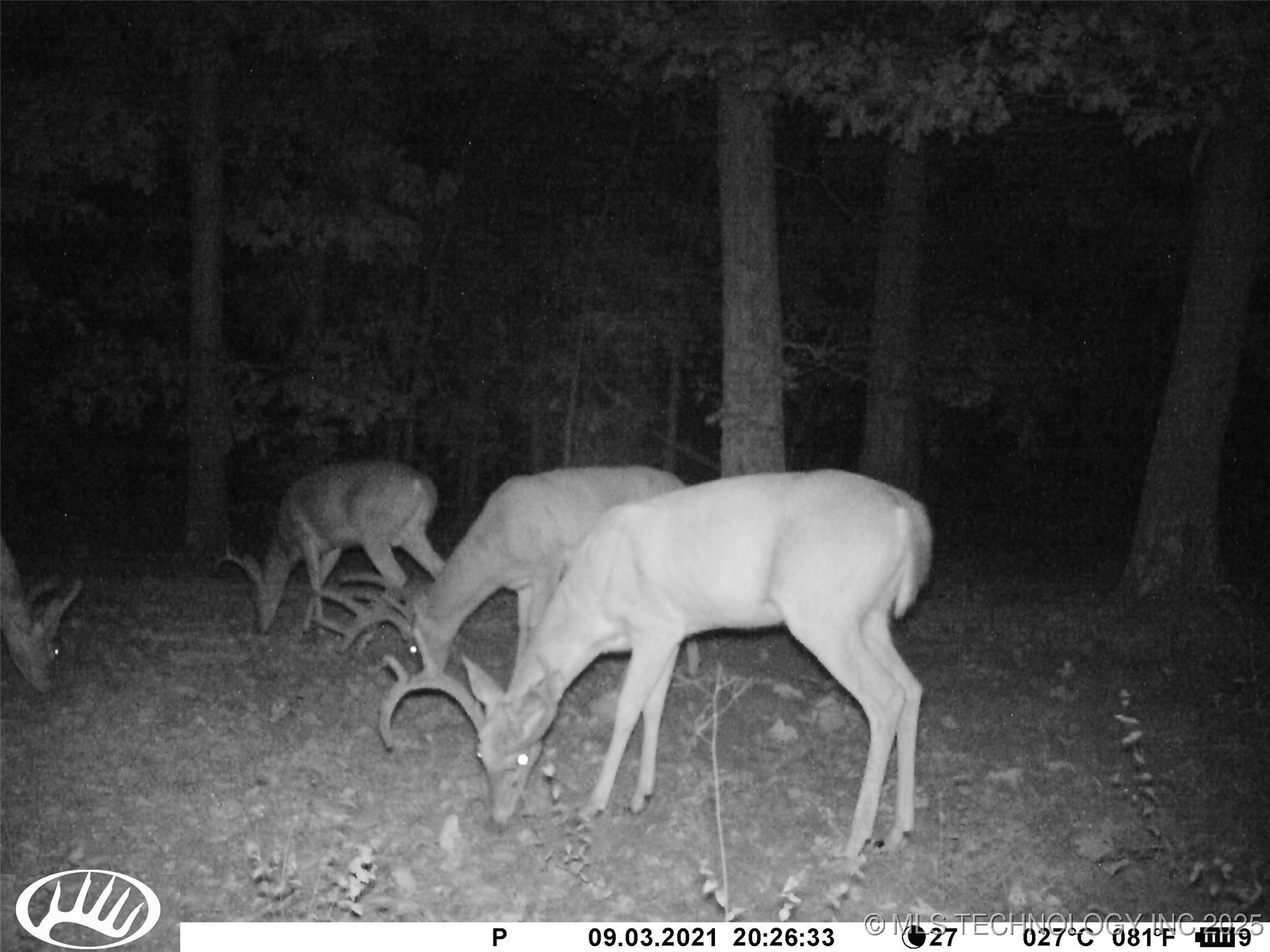 0000 S Hwy 82 A Oaks OK 74359