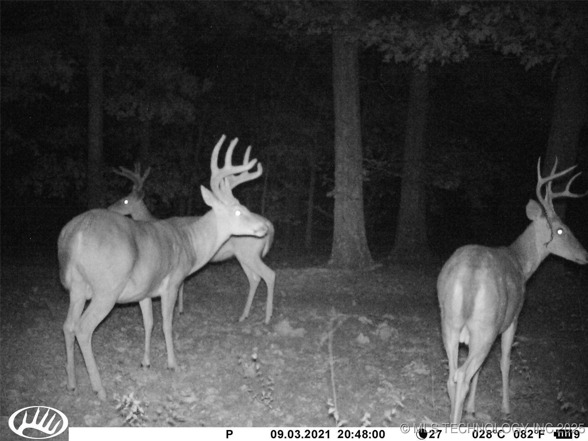0000 S Hwy 82 A Oaks OK 74359