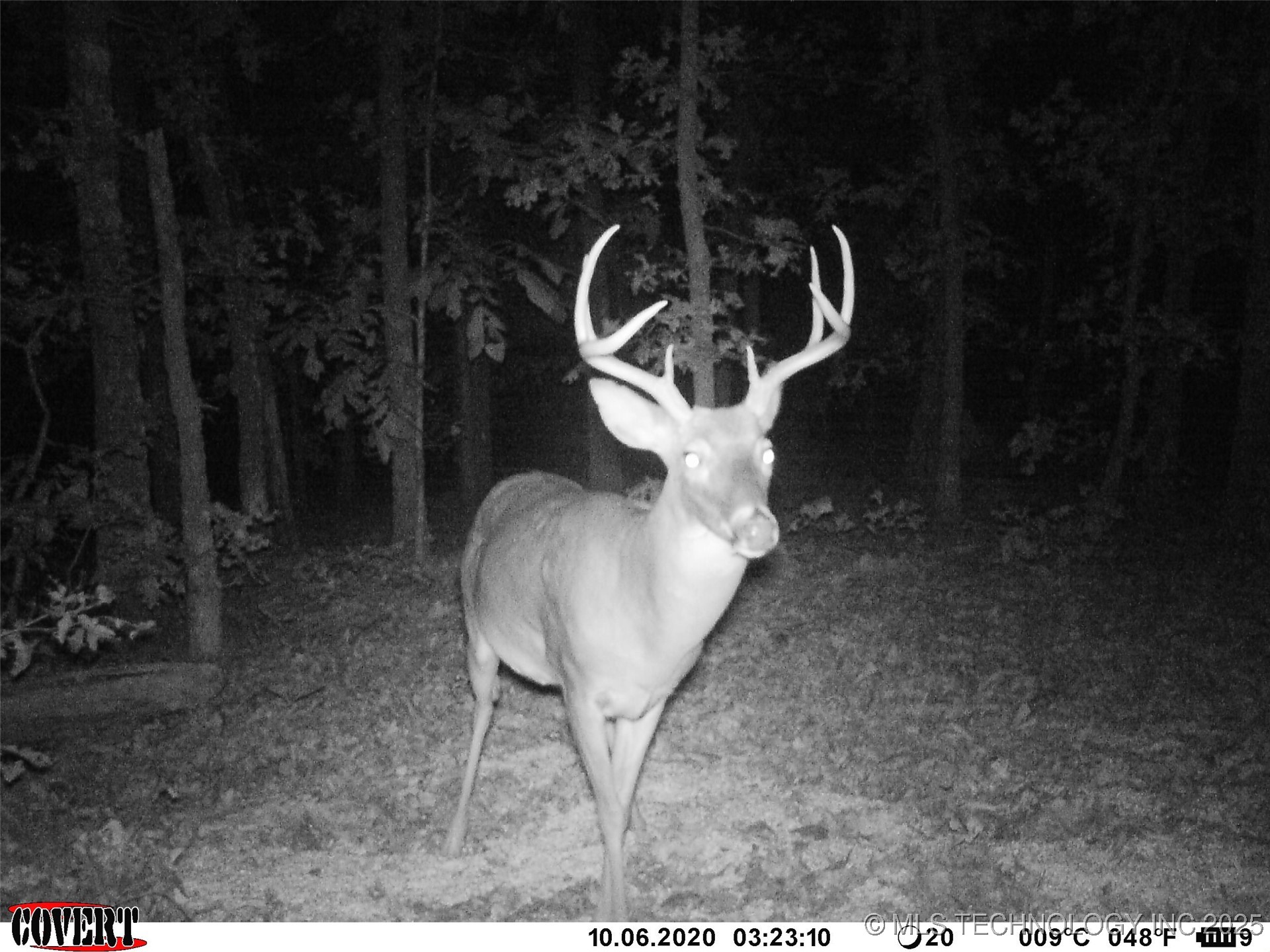 0000 S Hwy 82 A Oaks OK 74359