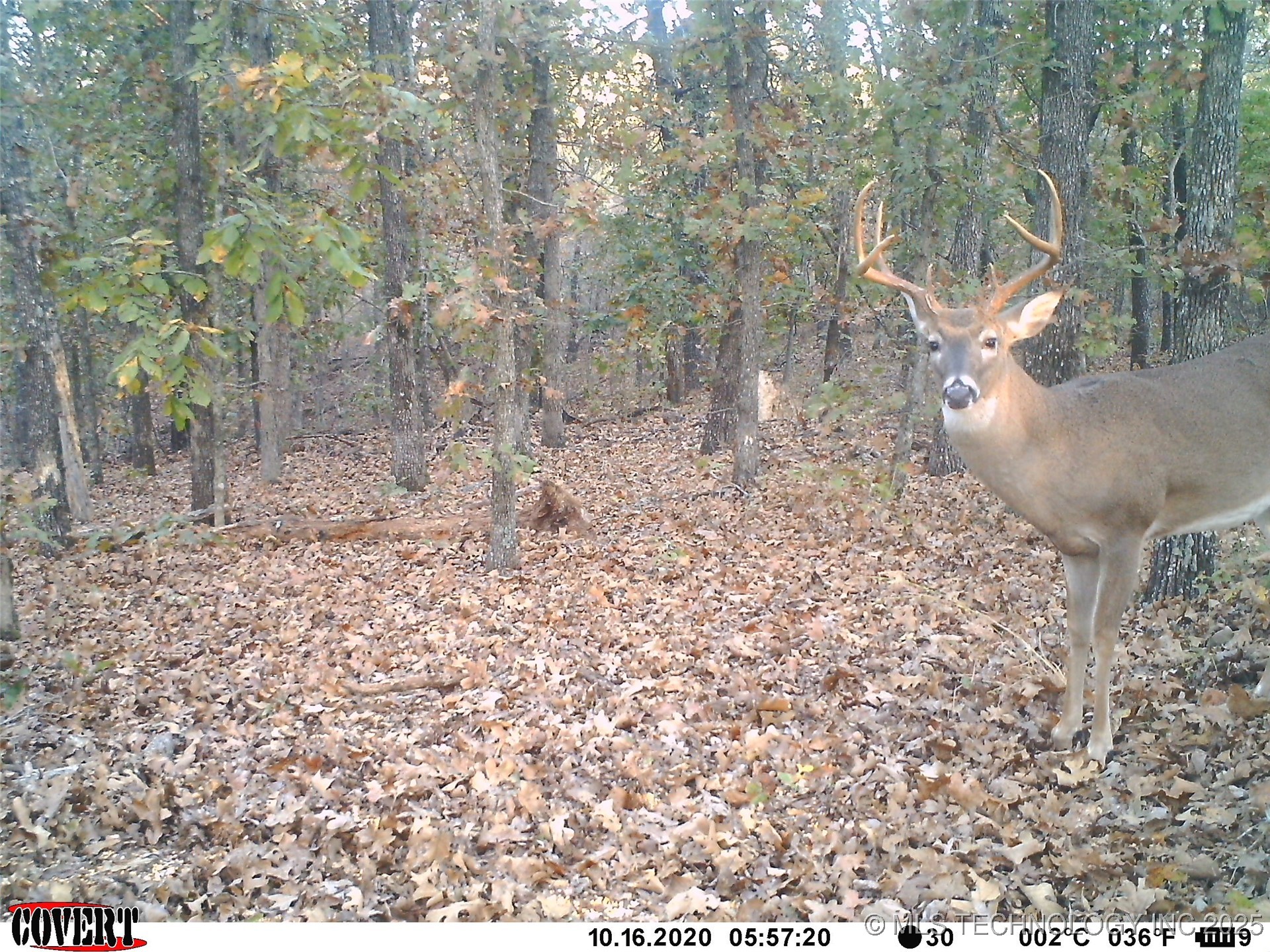 0000 S Hwy 82 A Oaks OK 74359