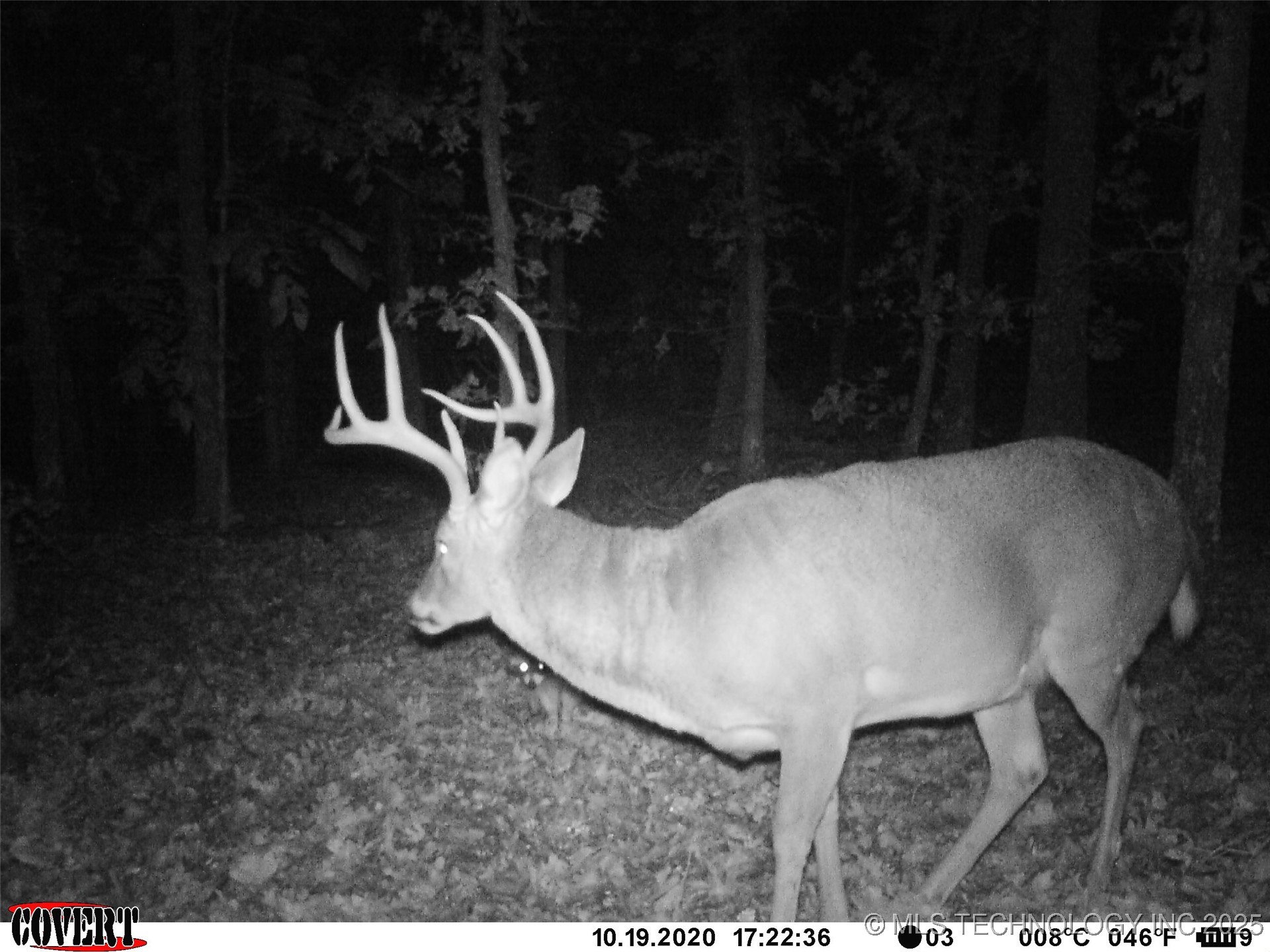 0000 S Hwy 82 A Oaks OK 74359
