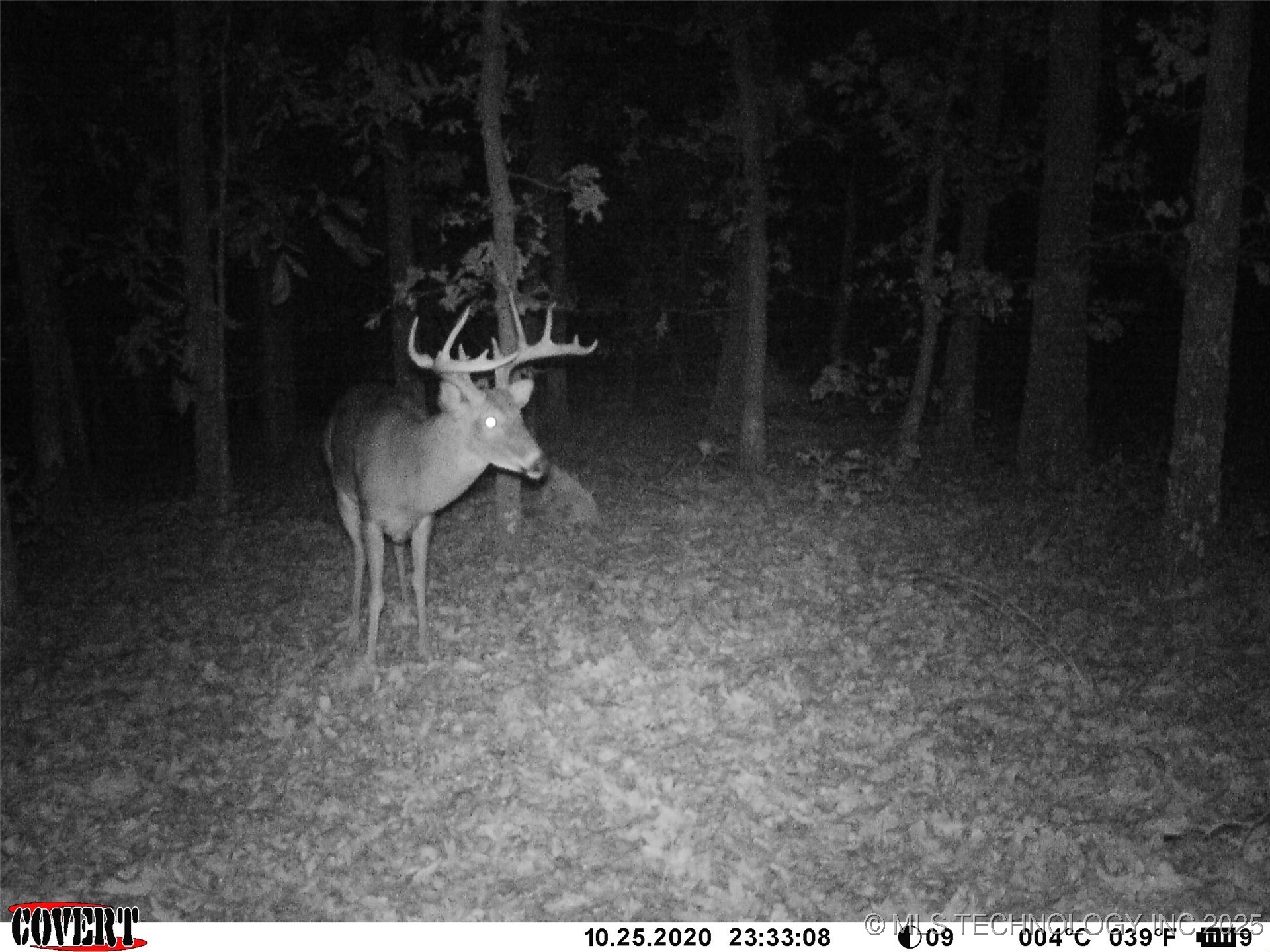 0000 S Hwy 82 A Oaks OK 74359