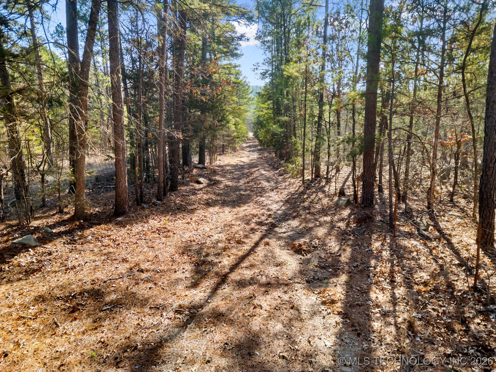 187602 N 4138 Road Antlers OK 74523