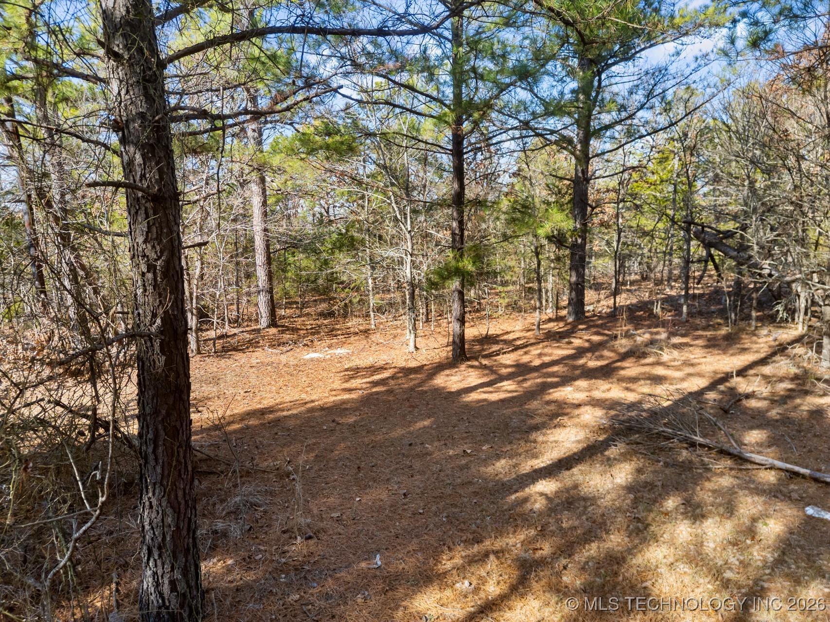 187602 N 4138 Road Antlers OK 74523