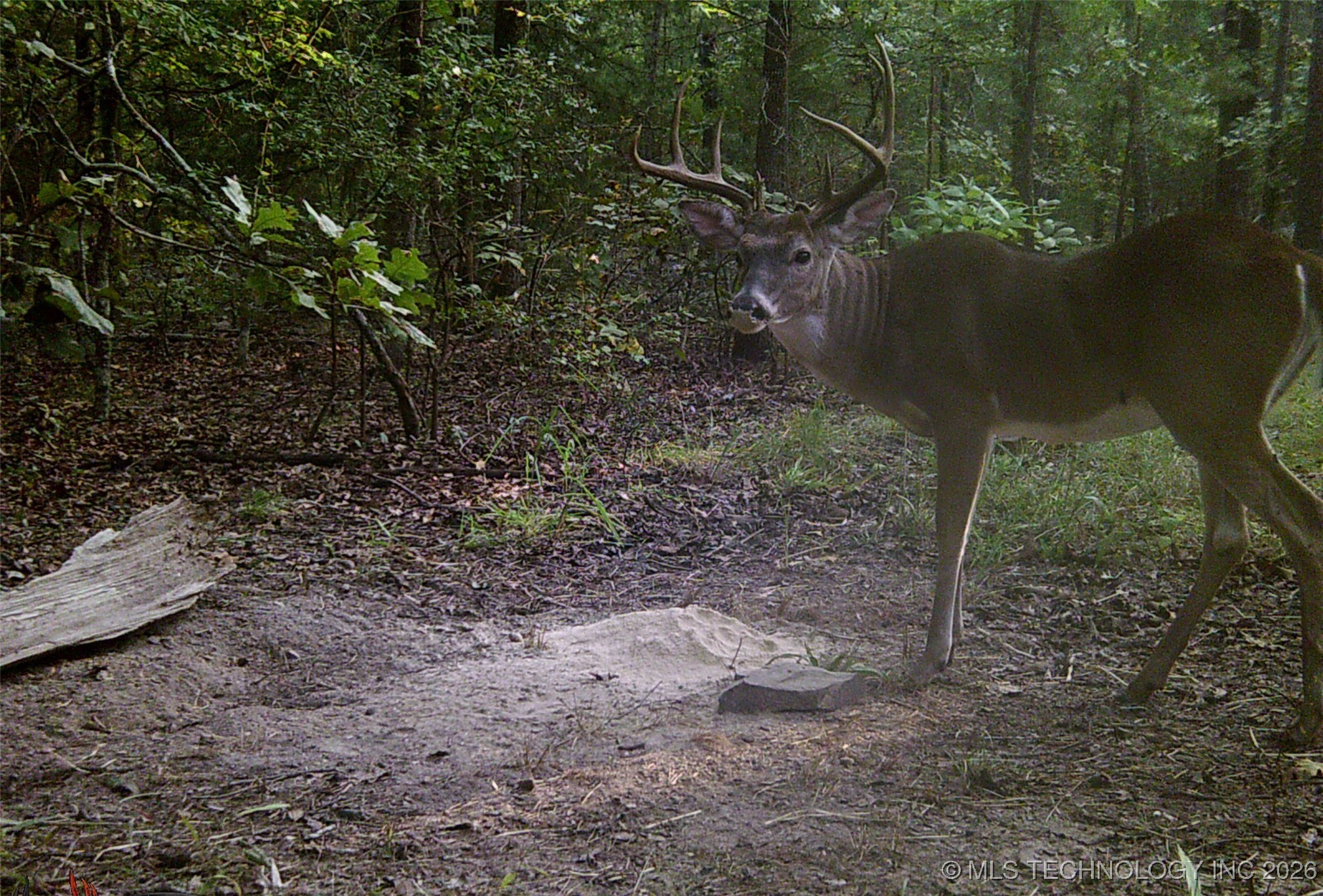 187602 N 4138 Road Antlers OK 74523