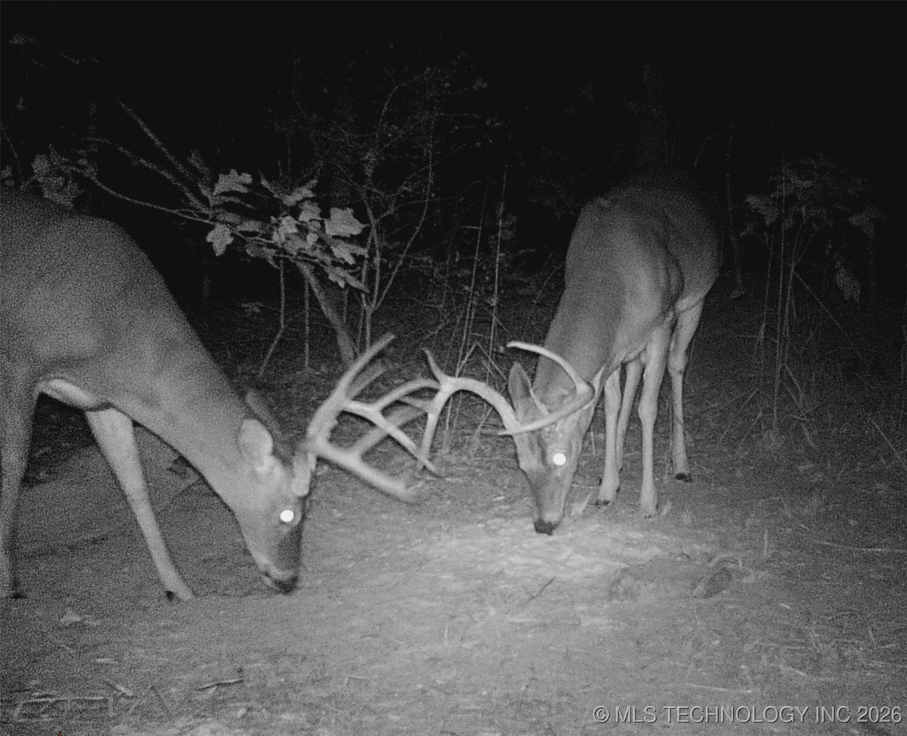 187602 N 4138 Road Antlers OK 74523