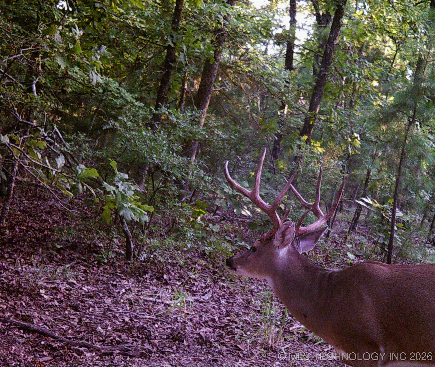 187602 N 4138 Road Antlers OK 74523