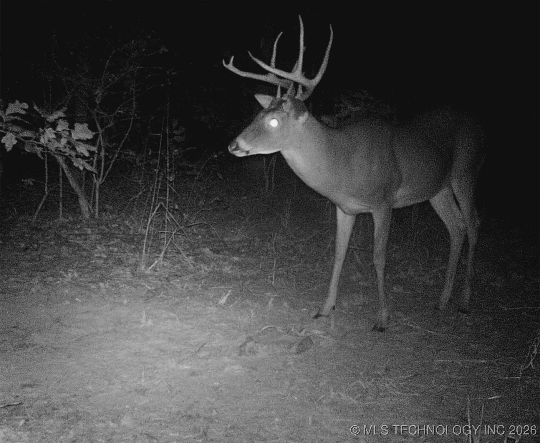 187602 N 4138 Road Antlers OK 74523