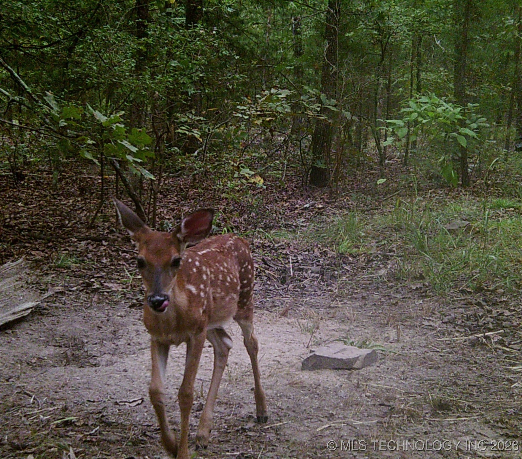 187602 N 4138 Road Antlers OK 74523